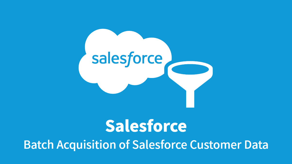 Batch Acquisition of Salesforce Customer Data